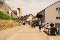 2026-06-07_Sonntag-225.jpg